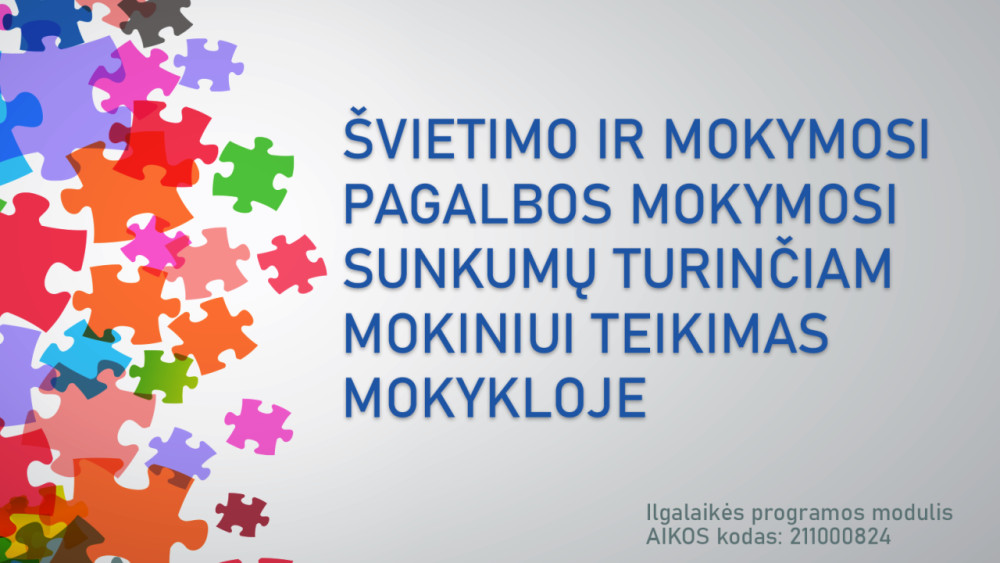 Švietimo ir mokymosi pagalbos mokymosi sunkumų turinčiam mokiniui teikimas mokykloje